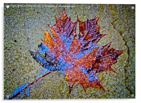 Frozen Leaf on Stone Acrylic by Martyn Arnold