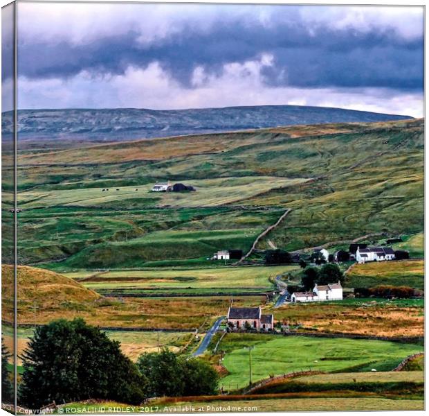 "Harwood in Teesdale" Canvas Print by ROS RIDLEY