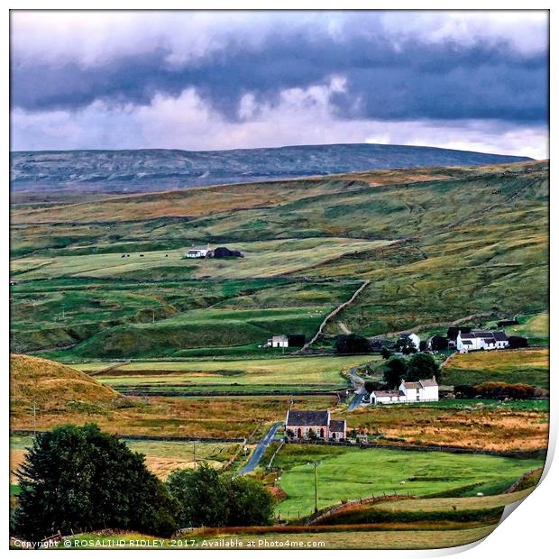 "Harwood in Teesdale" Print by ROS RIDLEY