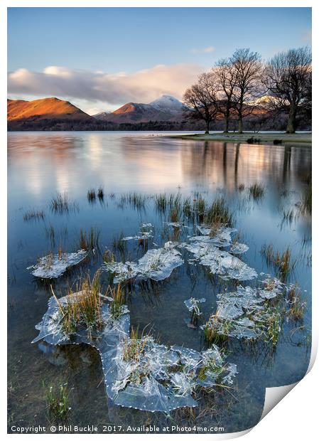 Strandshag Bay Floating Ice Print by Phil Buckle