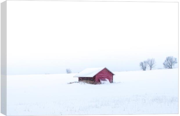 Swedish winter Canvas Print by Hamperium Photography