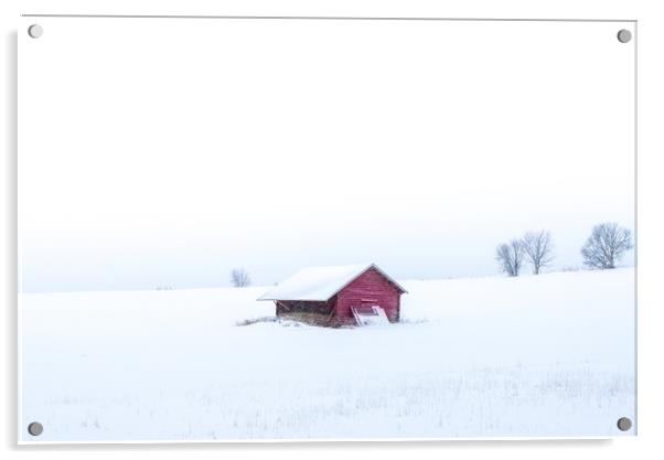 Swedish winter Acrylic by Hamperium Photography