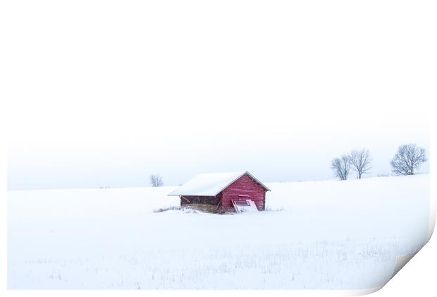 Swedish winter Print by Hamperium Photography