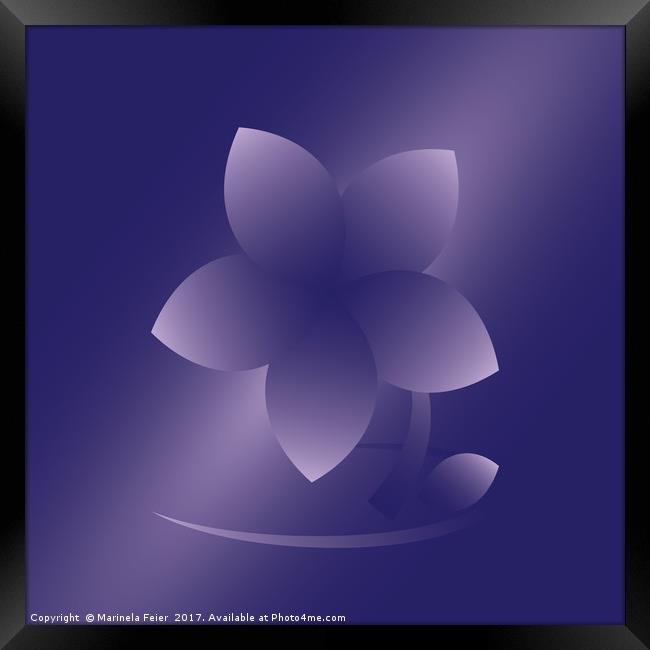 Violet flower Framed Print by Marinela Feier