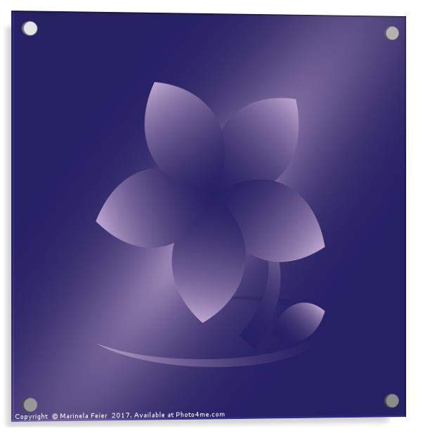 Violet flower Acrylic by Marinela Feier