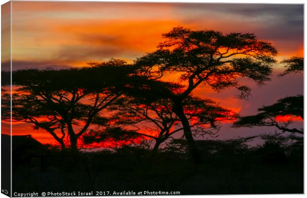 Red African Sunset Canvas Print by PhotoStock Israel