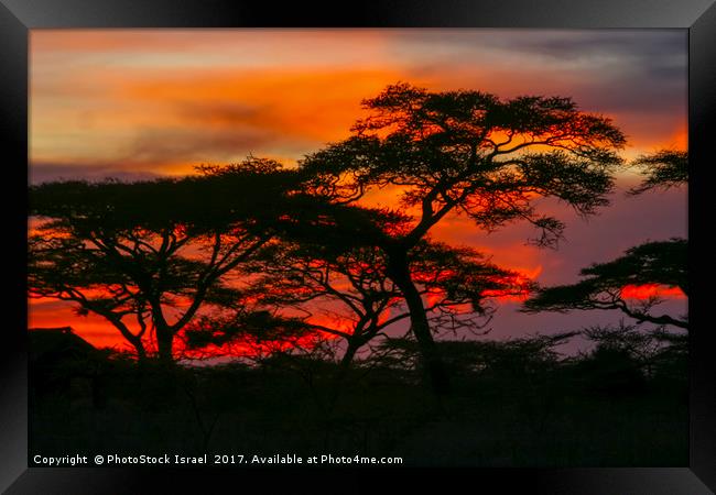 Red African Sunset Framed Print by PhotoStock Israel