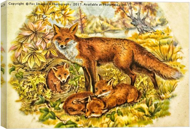 Fox And Cubs Canvas Print by Derrick Fox Lomax
