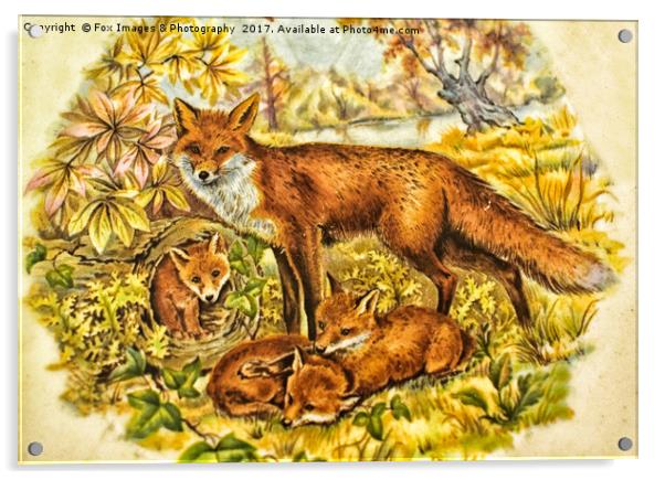 Fox And Cubs Acrylic by Derrick Fox Lomax