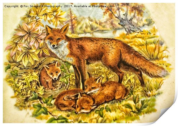 Fox And Cubs Print by Derrick Fox Lomax