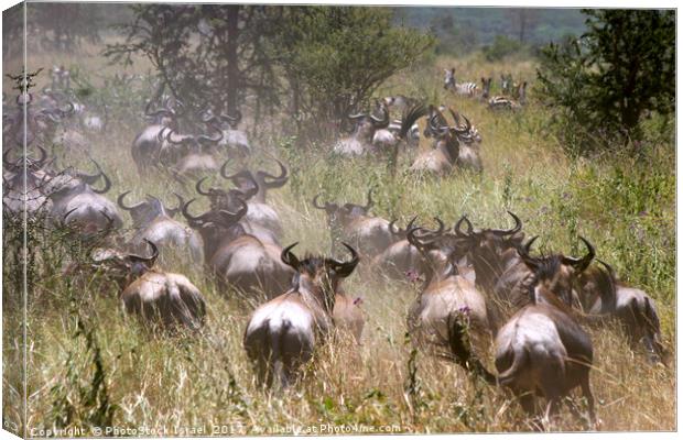 Serengeti National Park Canvas Print by PhotoStock Israel