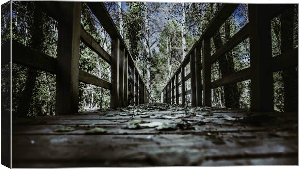 Footbridge leading to the forest Canvas Print by Juan Ramón Ramos Rivero