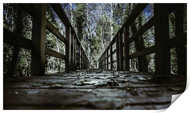 Footbridge leading to the forest Print by Juan Ramón Ramos Rivero