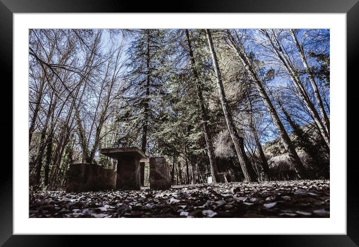 Picnic in the forest Framed Mounted Print by Juan Ramón Ramos Rivero