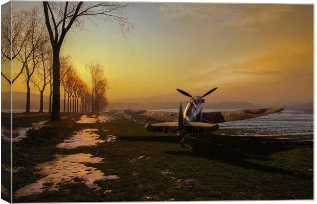 Spitfire in winter Canvas Print by Gary Eason
