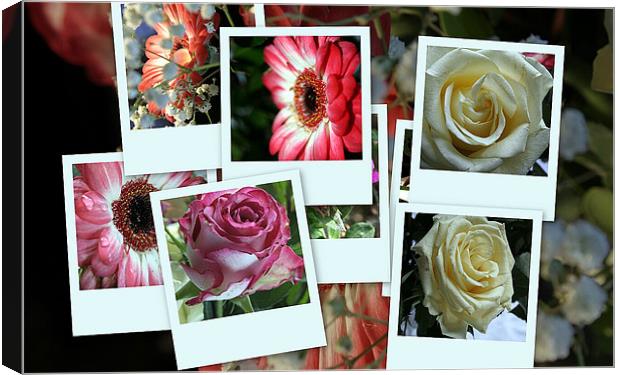 Montage of flowers Canvas Print by Doug McRae