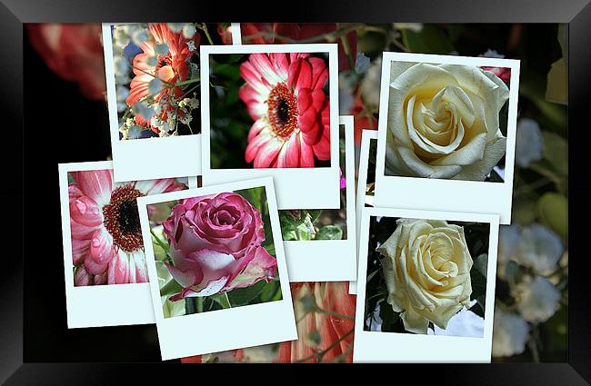 Montage of flowers Framed Print by Doug McRae