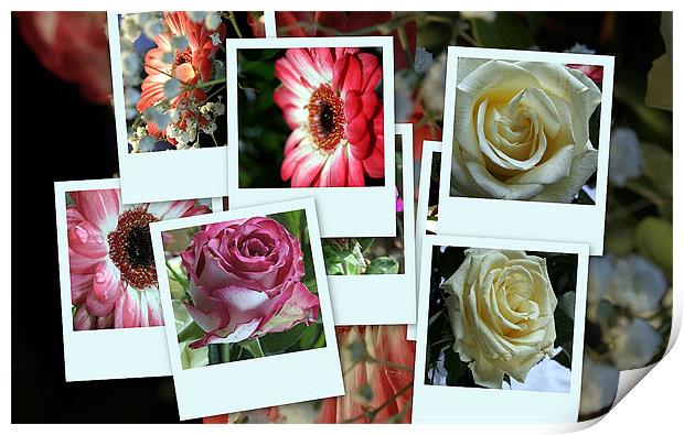 Montage of flowers Print by Doug McRae