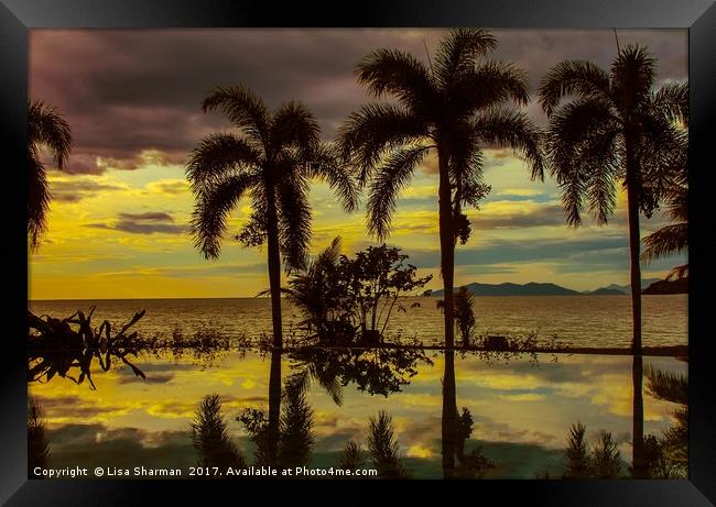 Tropical sunset Framed Print by  