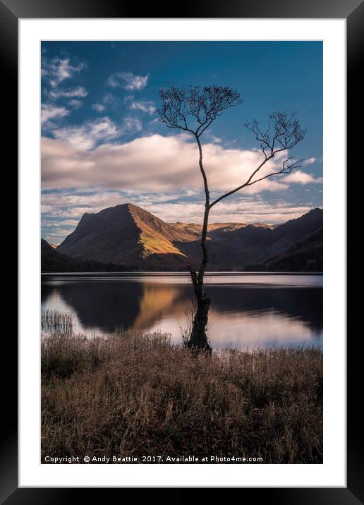 Lone Tree, Buttermere Framed Mounted Print by Andy Beattie