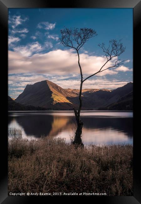 Lone Tree, Buttermere Framed Print by Andy Beattie