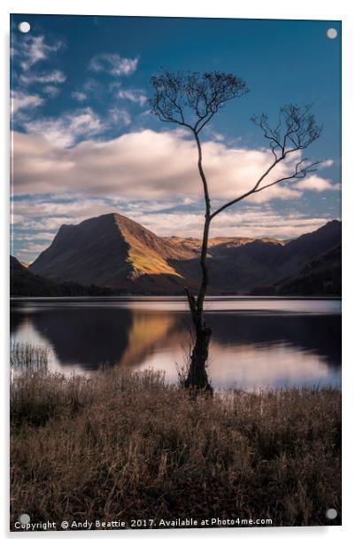 Lone Tree, Buttermere Acrylic by Andy Beattie