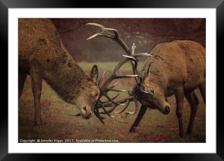 A Midwinter Tussle Framed Mounted Print by Jennifer Higgs