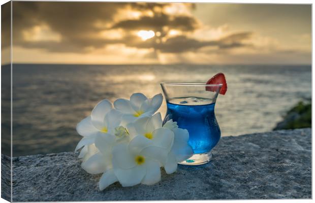  Sunset drinks at the ocean  Curacao views Canvas Print by Gail Johnson