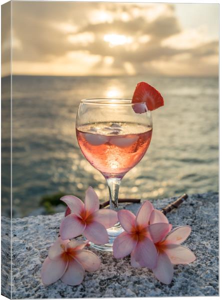   Sunset drinks at the ocean  Curacao views Canvas Print by Gail Johnson