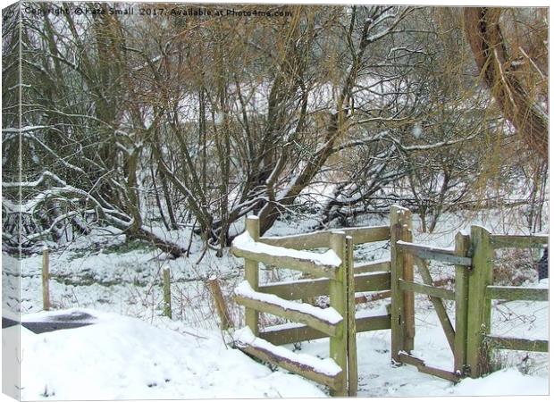 Winter Kissing Gate Canvas Print by Kate Small