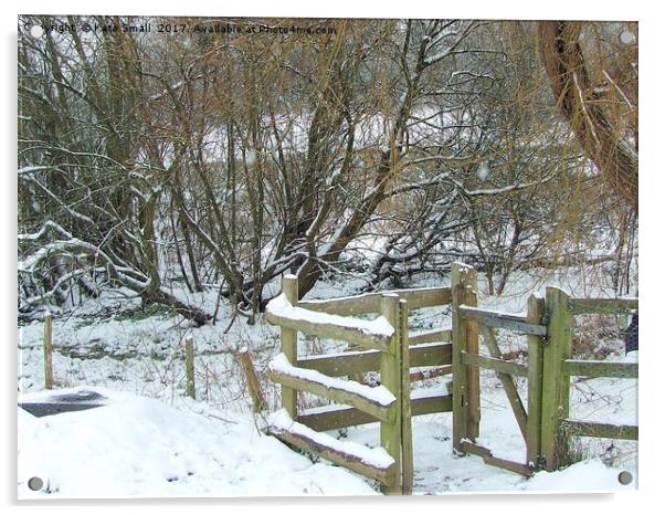 Winter Kissing Gate Acrylic by Kate Small