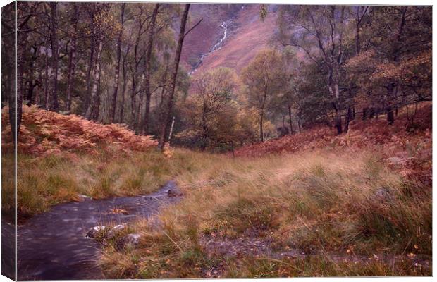 Cumbrian Autumn Scene Canvas Print by Ceri Jones