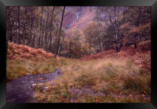 Cumbrian Autumn Scene Framed Print by Ceri Jones