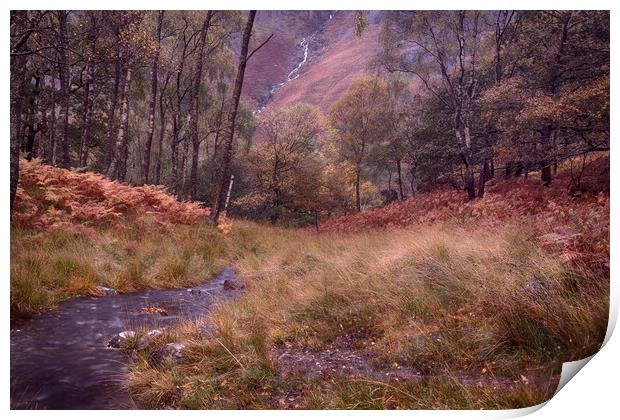 Cumbrian Autumn Scene Print by Ceri Jones