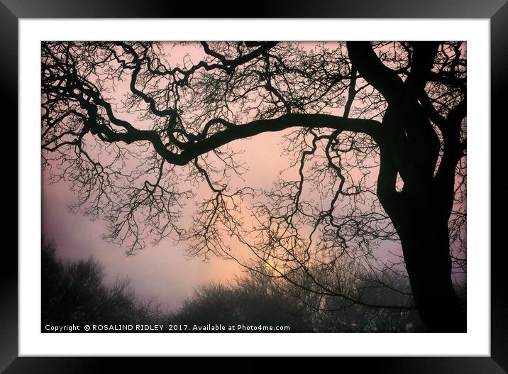 "Sunrise through the Winter fog" Framed Mounted Print by ROS RIDLEY