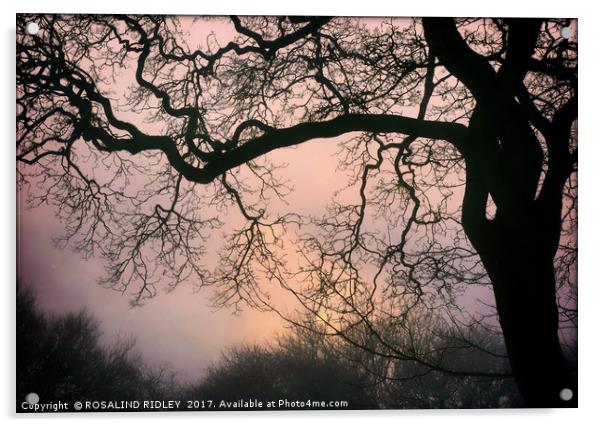 "Sunrise through the Winter fog" Acrylic by ROS RIDLEY