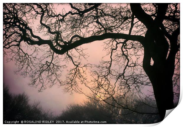 "Sunrise through the Winter fog" Print by ROS RIDLEY