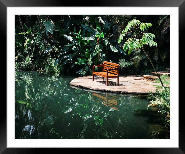 Bench in tropical forest Framed Mounted Print by Alexandre Rotenberg