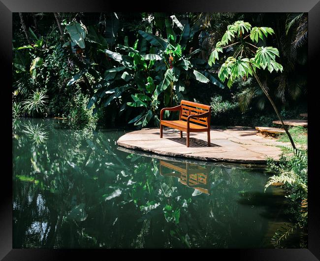 Bench in tropical forest Framed Print by Alexandre Rotenberg