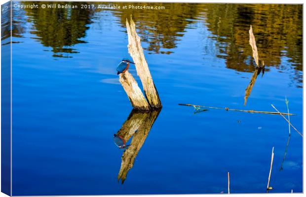 Tree Reflection and kingfisher at Chard Reservoir Canvas Print by Will Badman