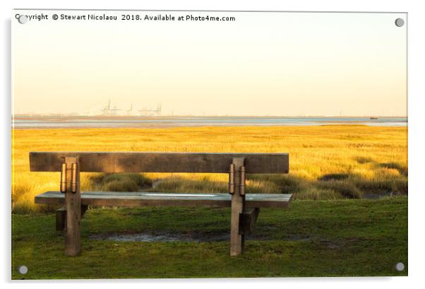 A Cold Winters Day Down By The River Acrylic by Stewart Nicolaou