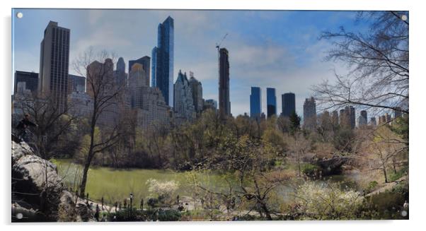 Central Park On The Rocks Acrylic by Graham Degg