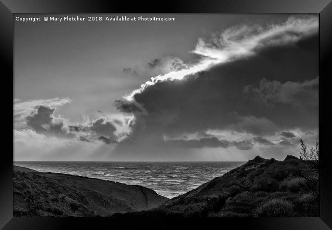 On the South West Coastpath Framed Print by Mary Fletcher