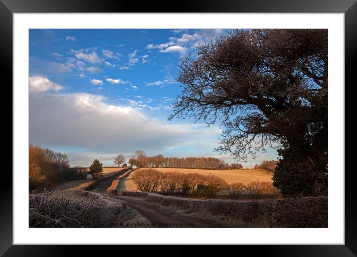 The road to somewhere Framed Mounted Print by Stephen Prosser