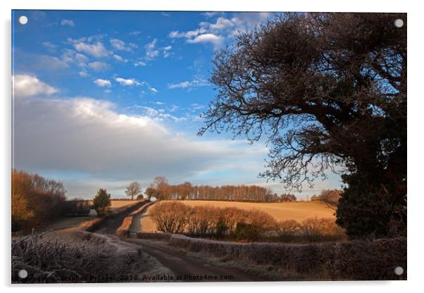 The road to somewhere Acrylic by Stephen Prosser