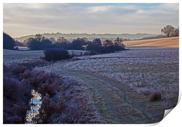 Misty winter magic Print by Stephen Prosser