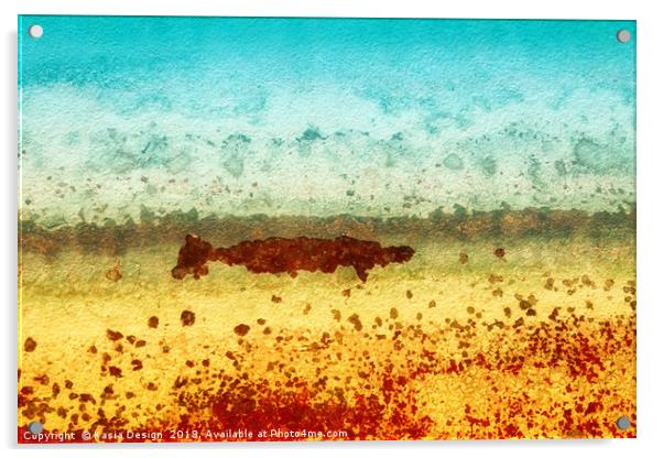 Swimming Below the Surface Acrylic by Kasia Design