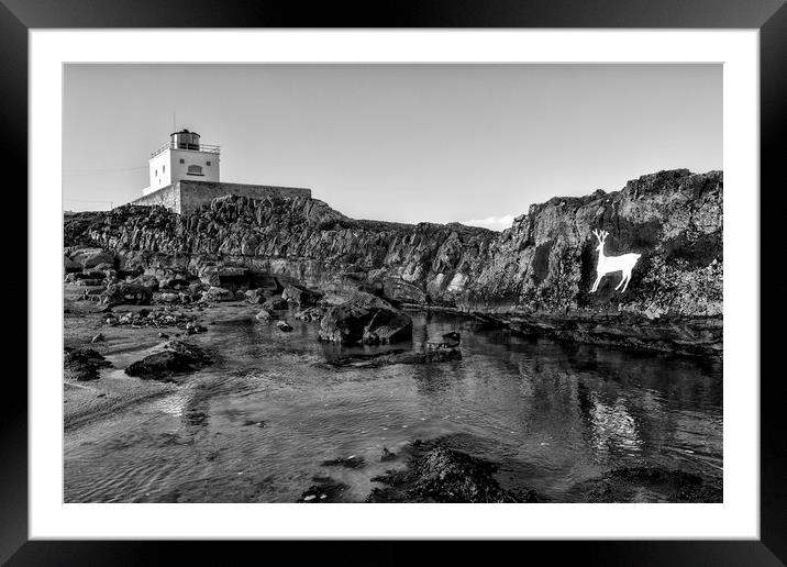 Stag rock Framed Mounted Print by Northeast Images