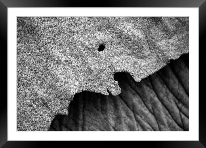 Textured giant Framed Mounted Print by Villiers Steyn