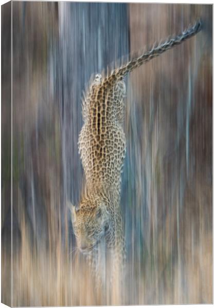 Liquid leopard Canvas Print by Villiers Steyn